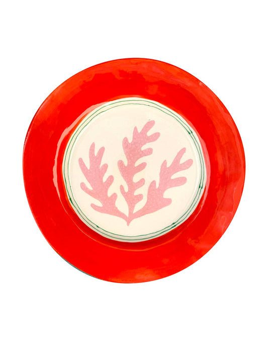 Pink Seaweed