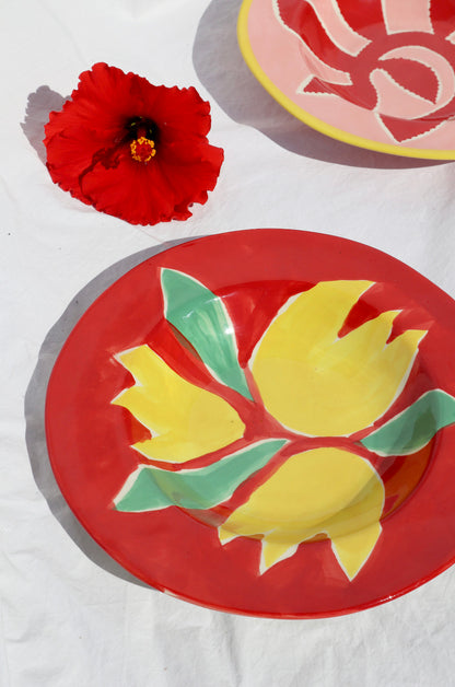 Yellow & red tulip